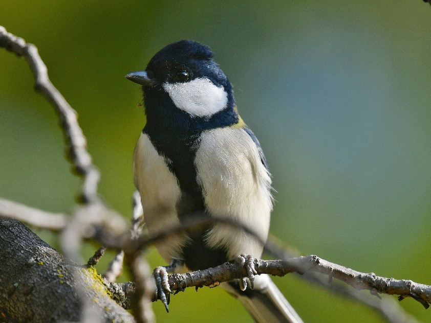 f0340732_22412356.jpg