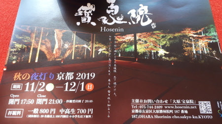 宝泉院　秋の夜灯り_d0106134_14364497.jpg