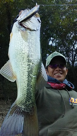 2019.11. 7 七川ダム_d0051236_15595679.jpg