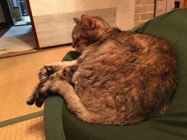 優しい赤_c0076939_00020729.jpg