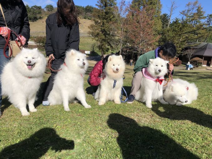 プチオフ会_f0128542_00452764.jpg