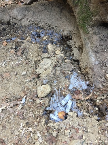 毛木平からの登山道 滑り止めご用意ください_c0369344_19185601.jpeg