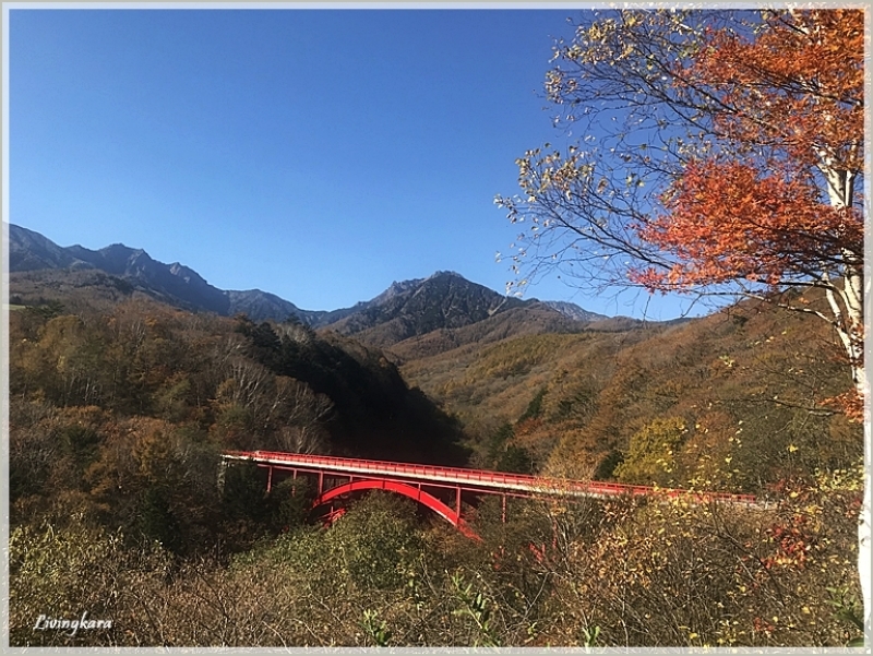 紅葉が見頃 八ヶ岳高原 livingから 紅葉が見頃 八ヶ岳高原 livingから
