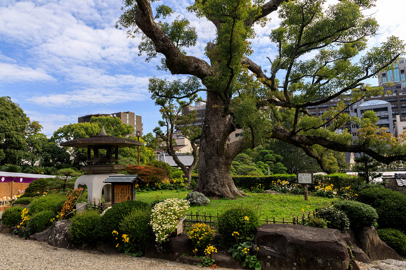 旧ハッサム住宅(神戸・元町)_f0155048_2214467.jpg