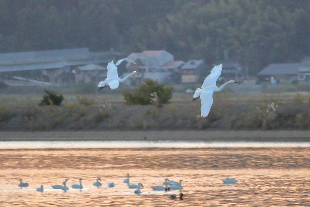 e0403850_01045214.jpg