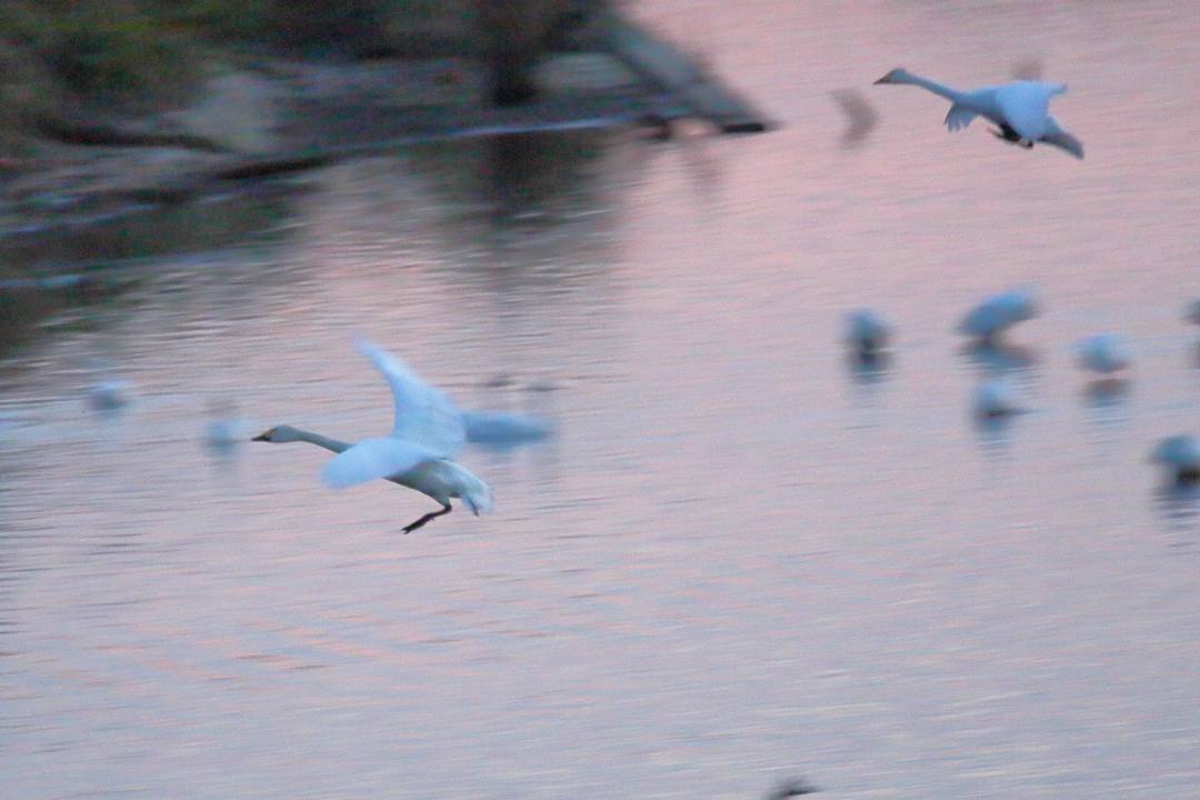 e0403850_01060567.jpg