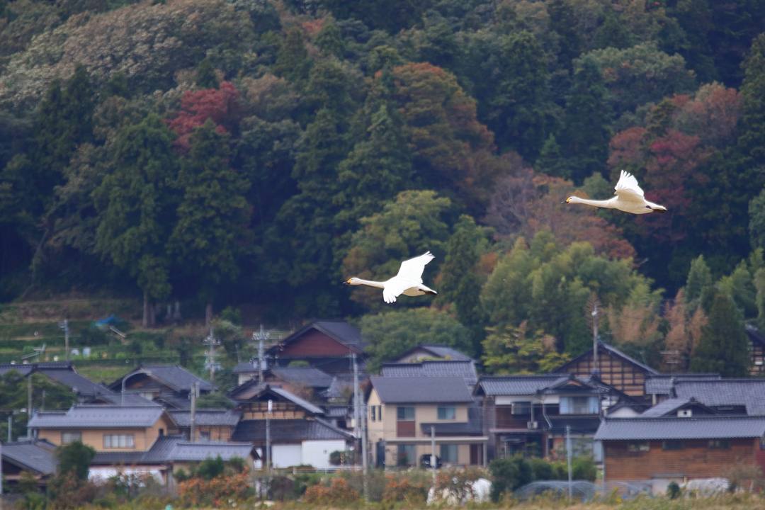 e0403850_23341891.jpg