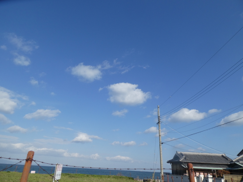 コストコへ買い出しに・・・_c0108460_15385895.jpg