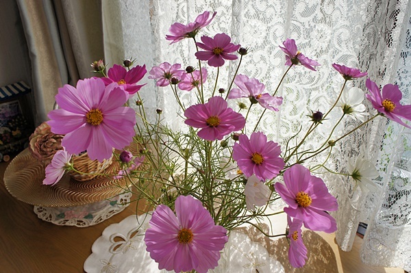 e0177271_09352578.jpg