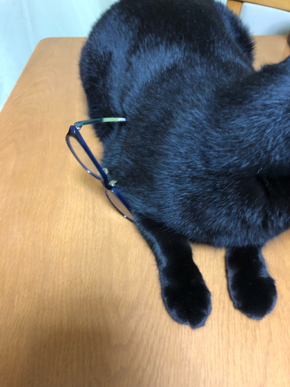 刺さったメガネ_e0355177_15325590.jpg