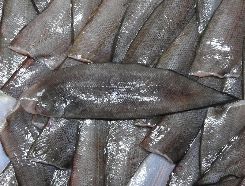 シタビラメ 舌平目 の干物 四季彩日記 ４