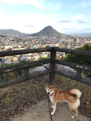 まんのう公園 と丸亀城_e0012580_14170245.jpg