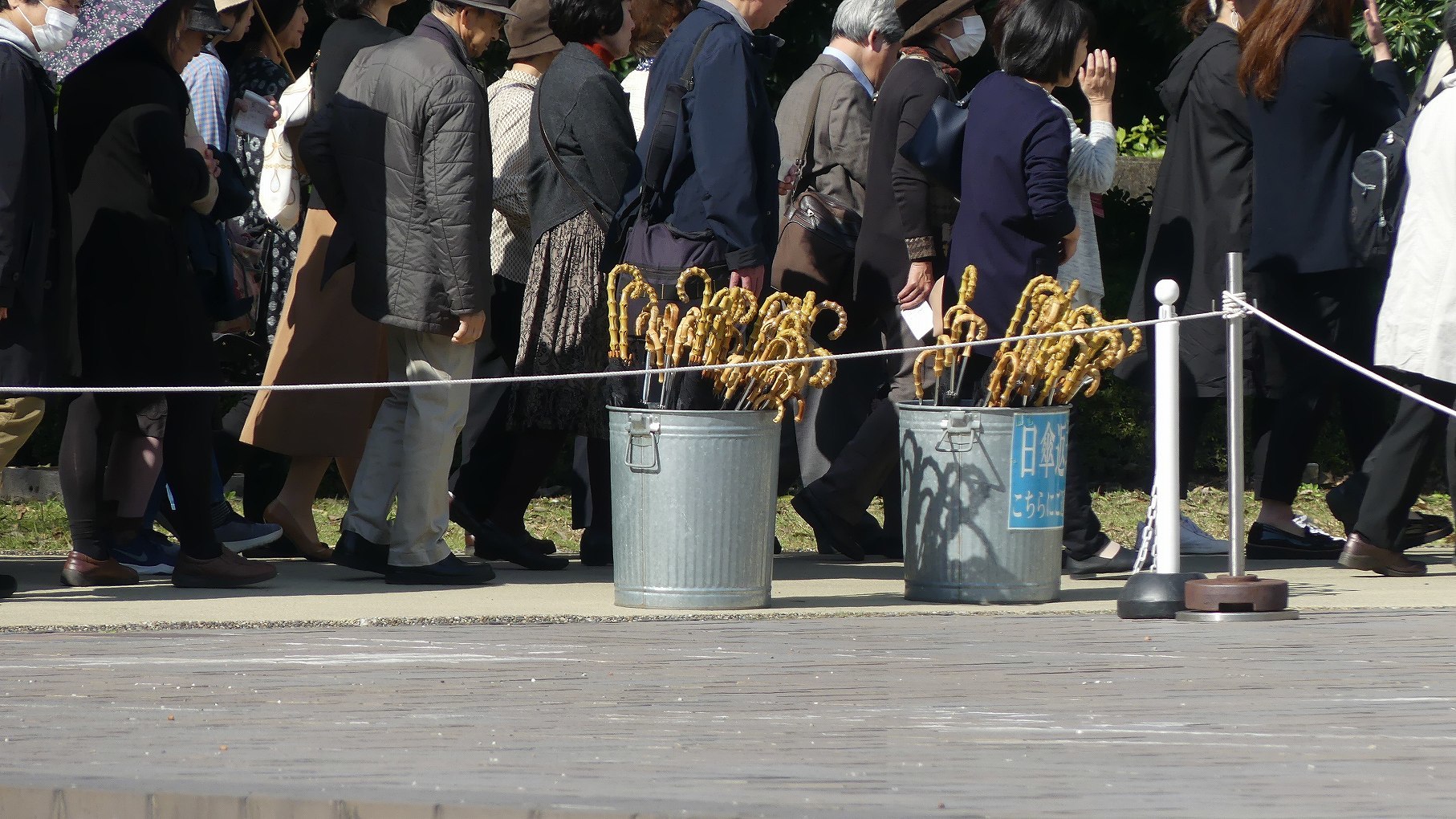 １０万人に達しました　【 2019　11/7（木) 】_a0185081_14480170.jpg