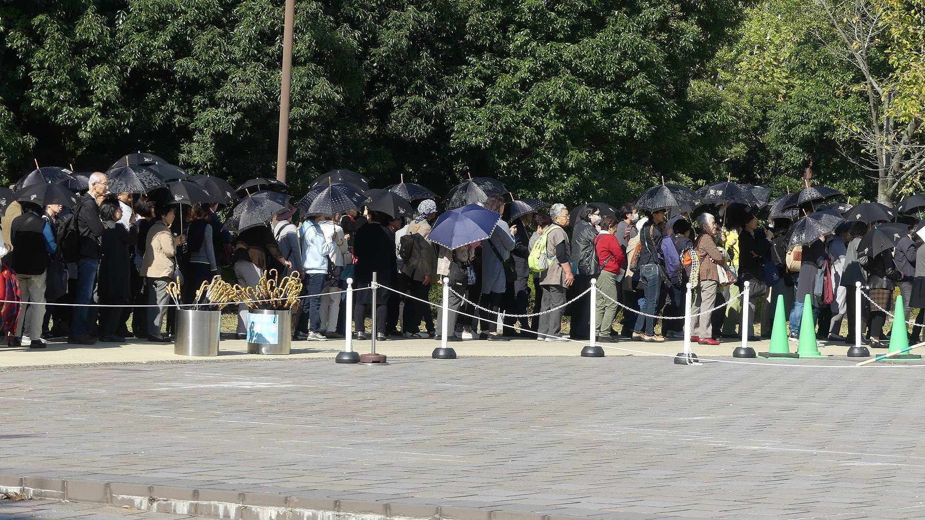 10万人に達しました 【 2019 11/7(木) 】_a0185081_14553650.jpg