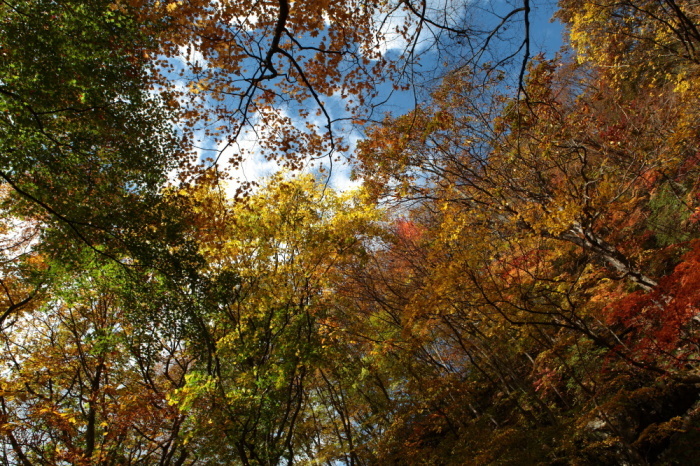 e0165983_10345431.jpg