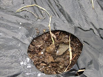 f0003283_08440217.jpg