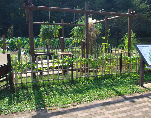 八王子の公園 小山内裏公園 3 八王子見て歩記 八王子の公園 小山内裏公園 3 八王子見て歩記