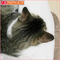 お風呂上りに、こんなことが_a0389088_13200064.jpg