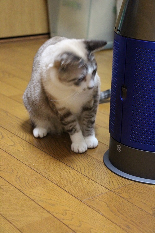 気になる電気代_a0333195_23212776.jpg
