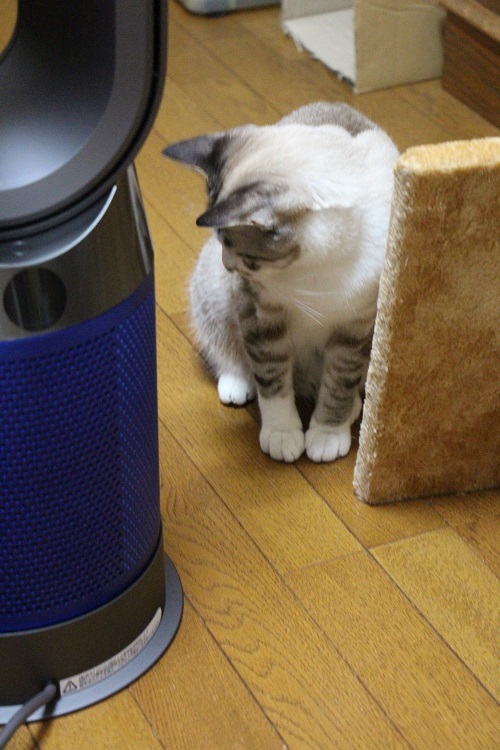 気になる電気代_a0333195_23231997.jpg