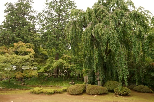 川越へ行こう。（埼玉県へ行こう。）_e0205297_07493080.jpg