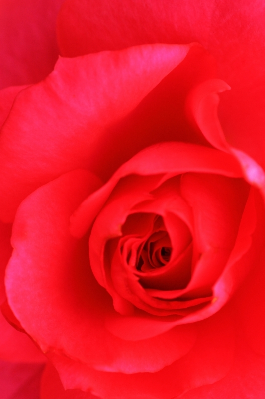 a0169902_12222360.jpg