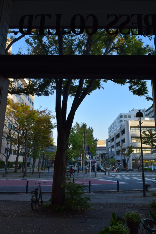 横浜市中区海岸通のジャパンエキスプレスビル(昭和モダン建築再訪)_f0142606_05171421.jpg
