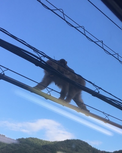 c0366722_07071110.jpeg