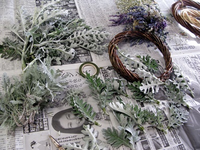 シロタエギクでリース！ : M's Factory