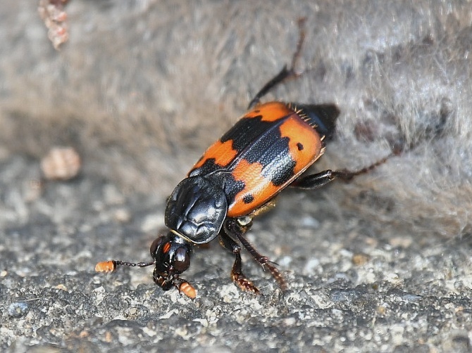 f0340732_22115167.jpg