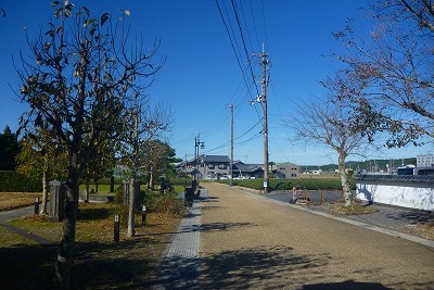 b0323439_23254355.jpg