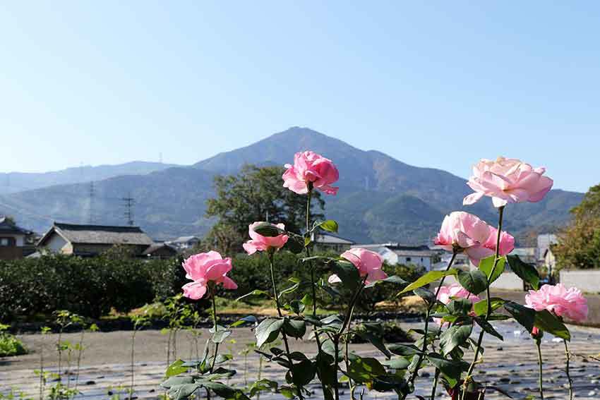 高越山の紅葉-01♪_d0058941_20373085.jpg