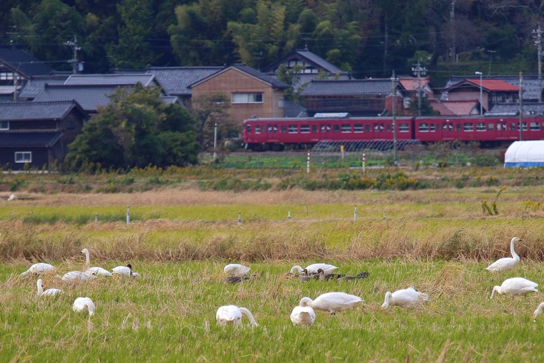 e0403850_21444630.jpg