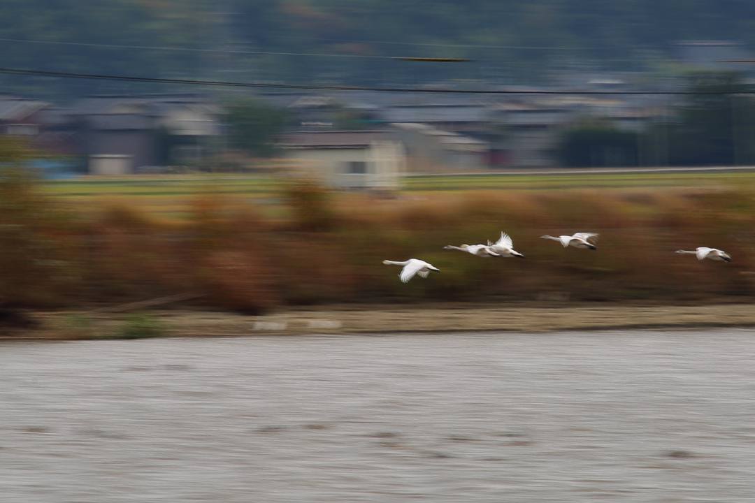 e0403850_21454352.jpg