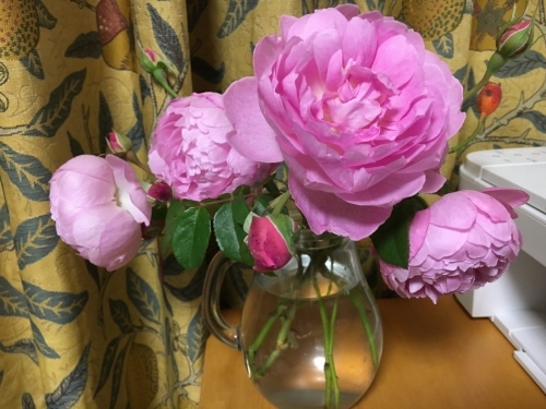 帯広「北斎」展と冬到来_e0326953_17572990.jpg