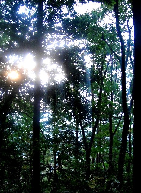 c0119160_07032406.jpg