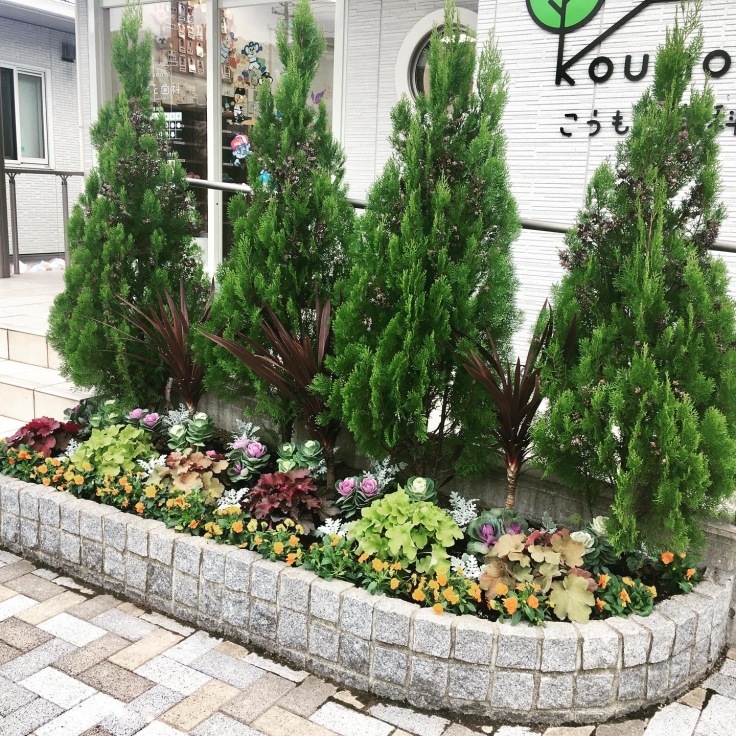 歯医者さんのガーデンを植え込みました 矢野の花屋 フラワーショップなかの スタッフブログ