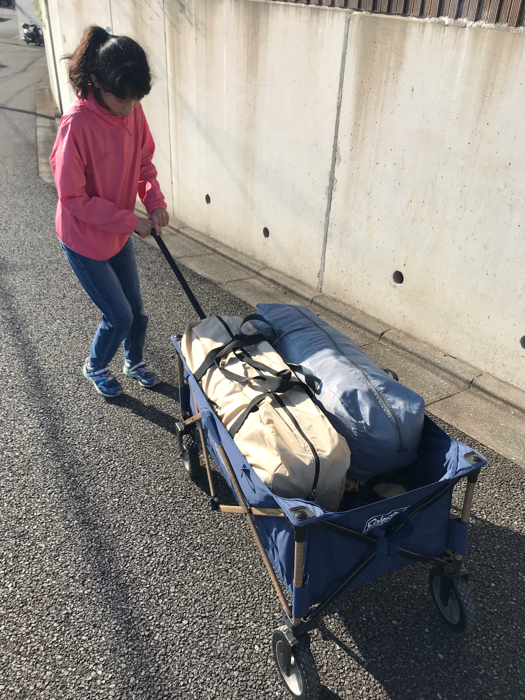 サバティカルTCタープ初張り : 本日も晴天なり ちょっとそこまで サバティカルTCタープ初張り : 本日も晴天なり ちょっとそこまで