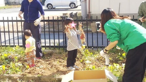 秋のいもほり_e0175370_09130577.jpg