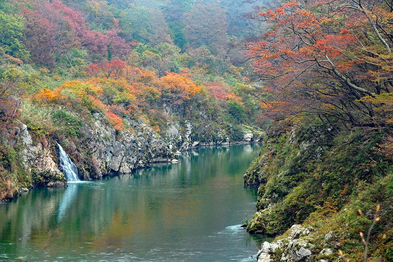 赤芝峡 小国町 くろちゃんの写真