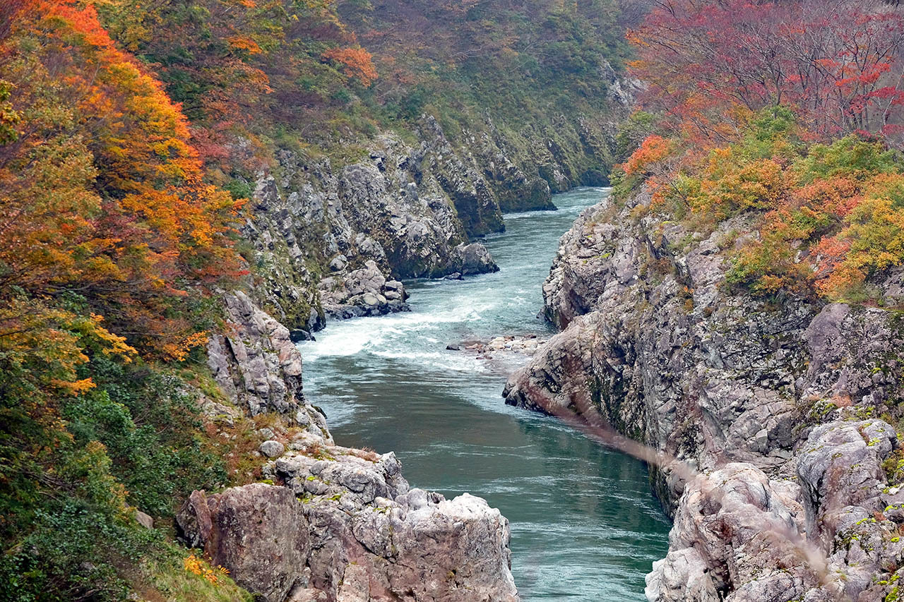 赤芝峡２ 小国町 くろちゃんの写真