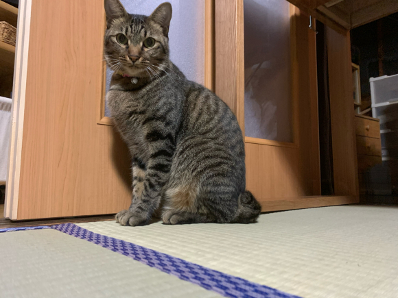 季秋_d0244977_12453022.jpg