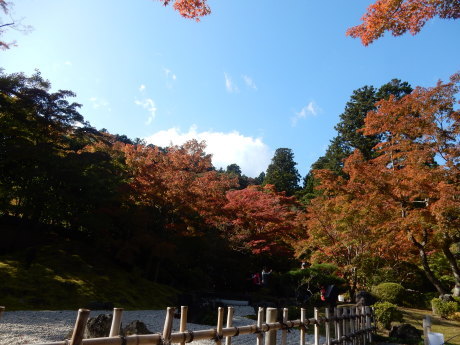 勝手に紅葉ツアー2019 松島・円通院_e0355177_14395407.jpg