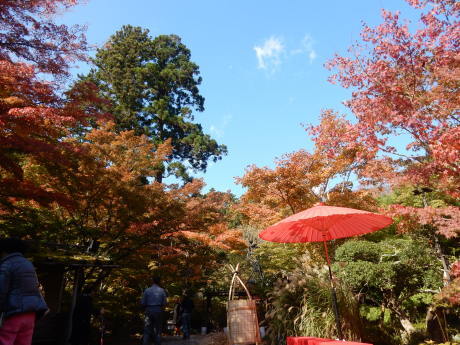 勝手に紅葉ツアー2019 松島・円通院_e0355177_14425240.jpg