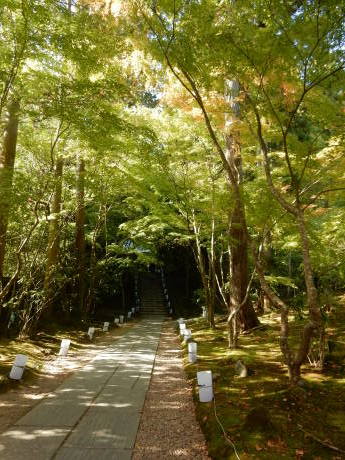 勝手に紅葉ツアー2019 松島・円通院_e0355177_14433746.jpg