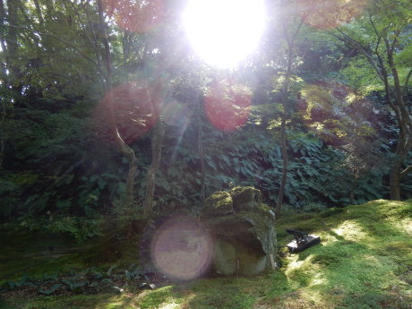 勝手に紅葉ツアー2019 松島・円通院_e0355177_14452194.jpg