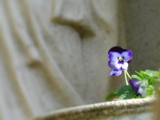 silent music:寫眞館 ゼラチン 「adagio」展へ_c0084183_18191929.jpg