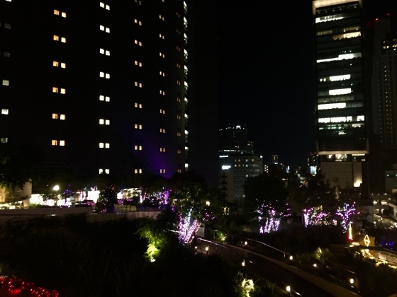 宮崎の妻地鶏のたたき_a0258686_00513825.jpeg