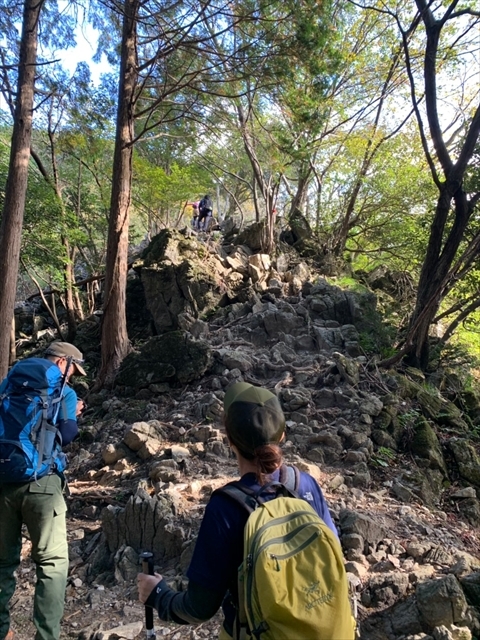 2019年　鈴鹿竜ヶ岳の赤い羊_e0271890_16141204.jpg