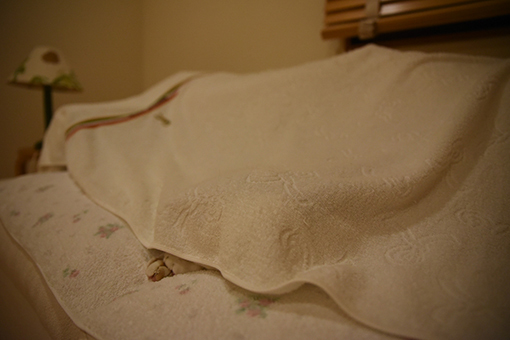 e0414191_04174947.jpg